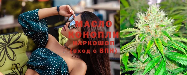 мдпв Надым