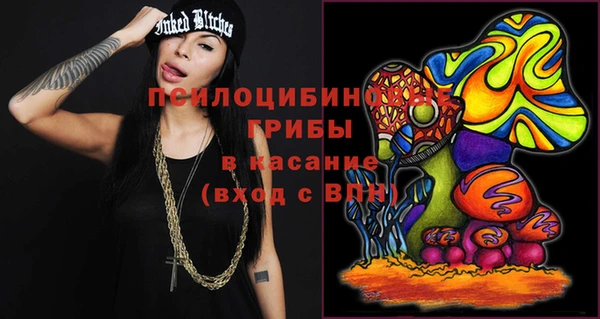 мдпв Надым